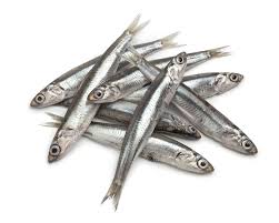 Frozen Anchovy 1Kg
