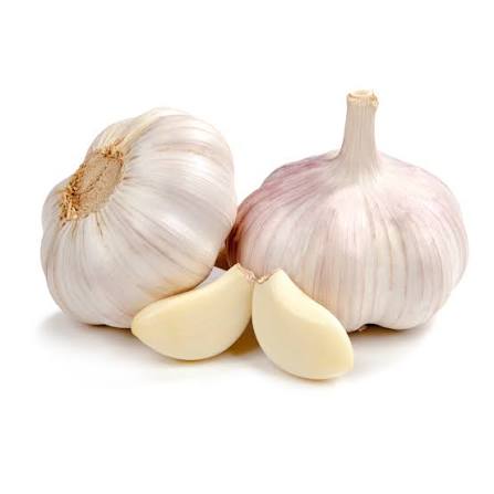 Garlic