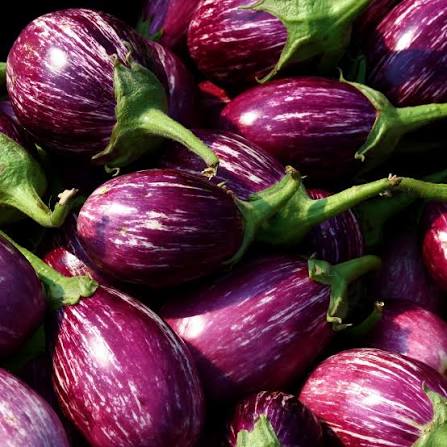 Brinjal 1kg