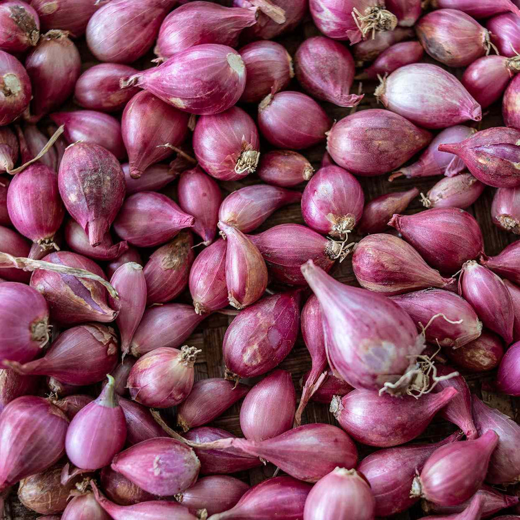 SHALLOTS 200G
