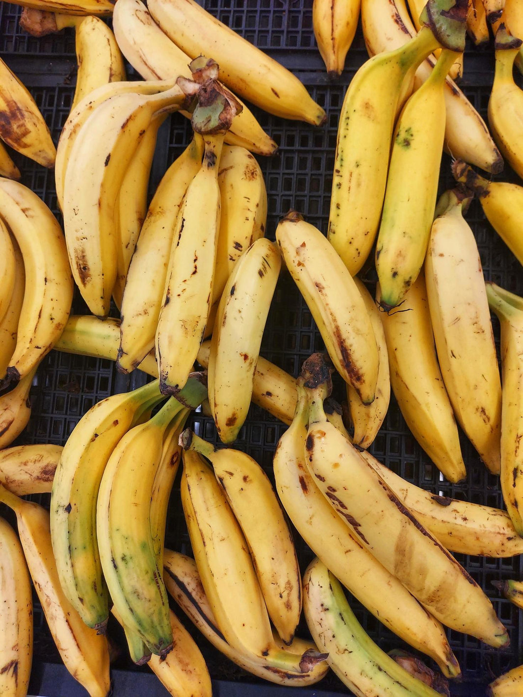 PLANTAIN BANANA  3 FOR 2£