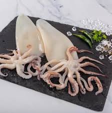 Frozen Squid 600G [Cleaned]