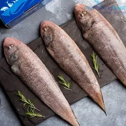 Frozen Sole Fish 600G